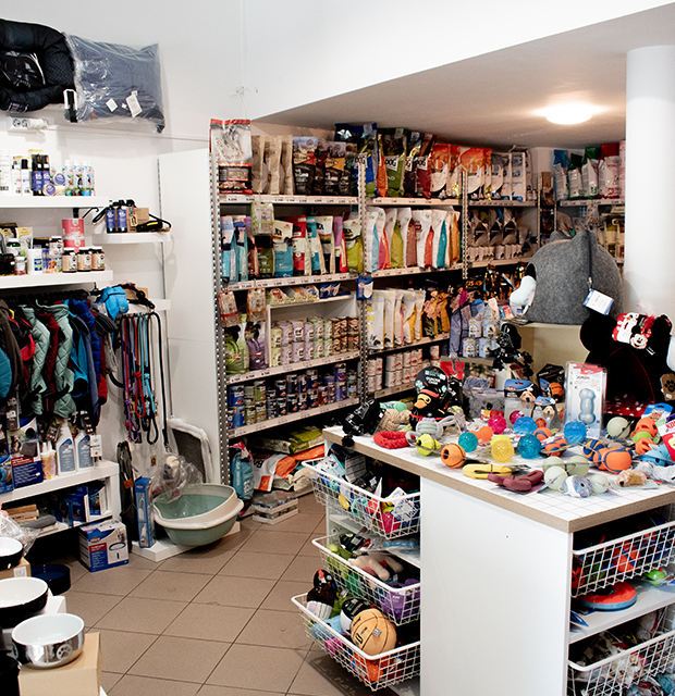 Dogzilla Petshop belső - játékok és eledelek